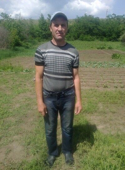   ,   , 61 ,   