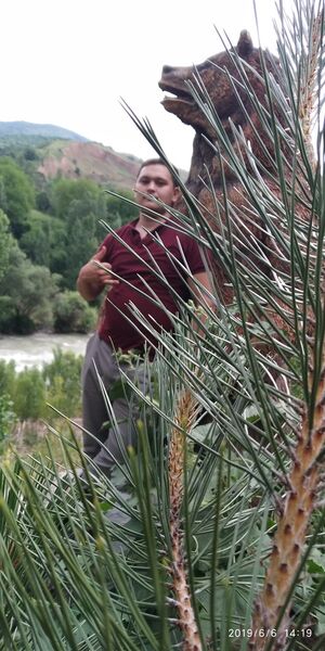  ,   Oybek, 32 ,     , c , 
