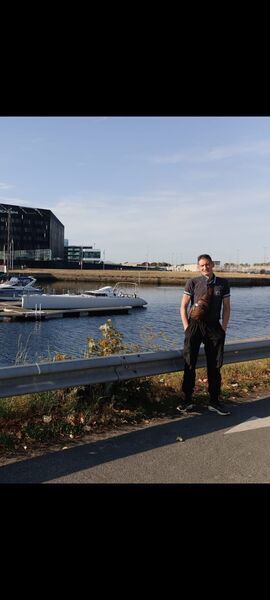  Meudon,   , 46 ,   ,   