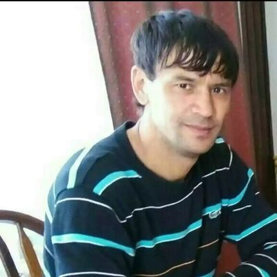  ,   SALAMON, 40 ,   ,   , 