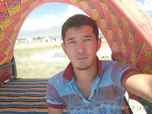 ,   , 33 ,  