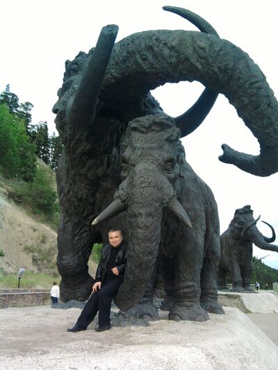  ,   , 53 ,  
