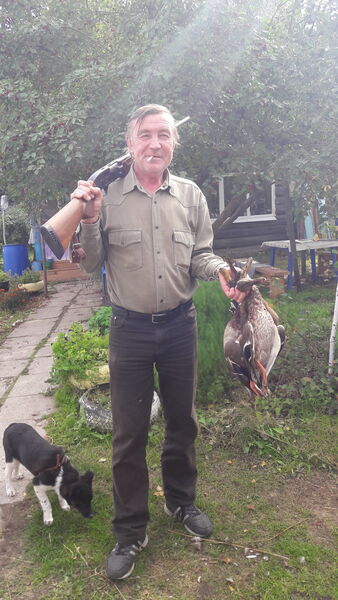  ,   , 62 ,   
