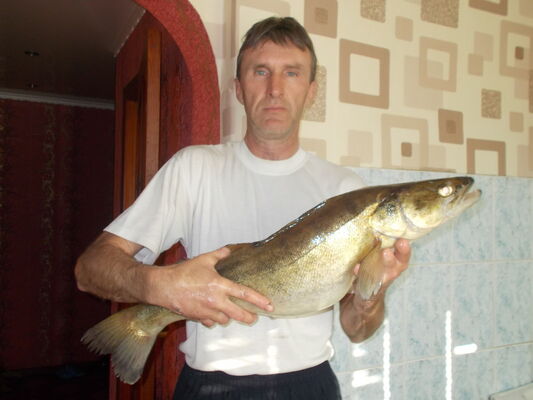  ,   , 58 ,   