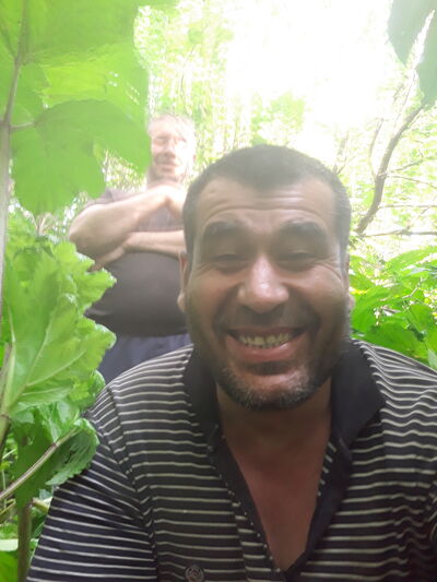  ,   , 43 ,   ,   