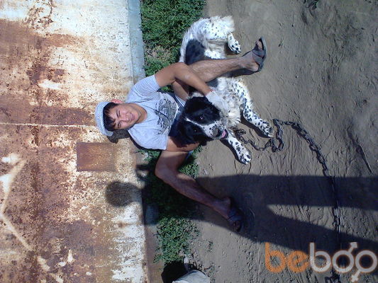  ,   Roma, 37 ,   ,   , c 