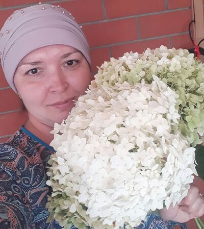  ,   , 46 ,     , c 