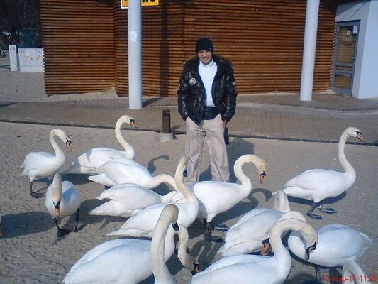  ,   , 50 ,   ,   , c 