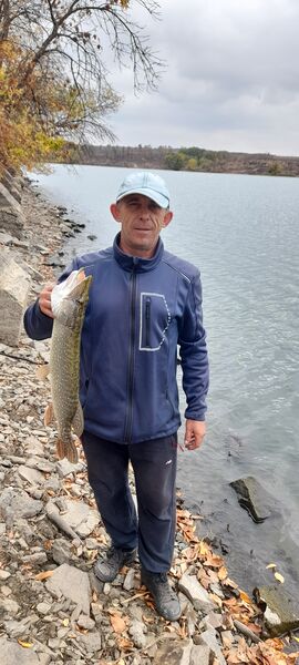  ,   , 52 ,   c 