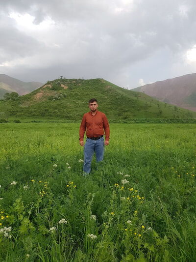  ,   , 34 ,   ,   