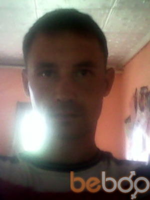  3360461  , 46 ,    -