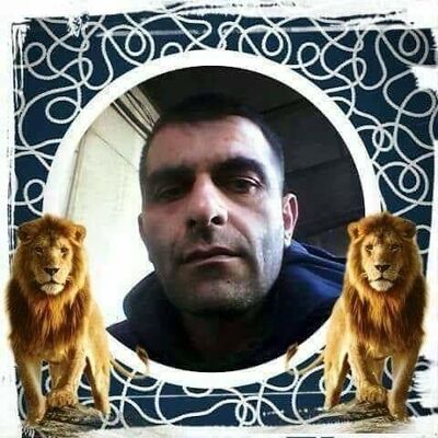  ,   Misha, 44 ,   ,   , c 