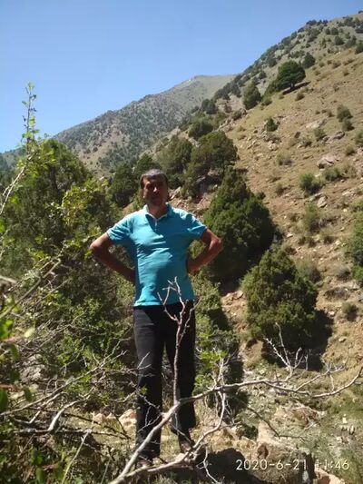  ,   Zevar ashf, 41 ,   ,   