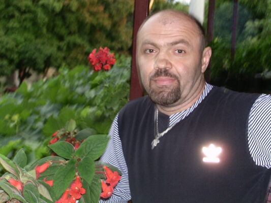  ,   , 53 ,   