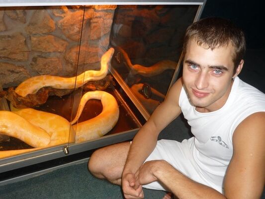  --,   , 37 ,   ,   , c , 