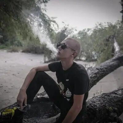  31287251  , 22 ,    --