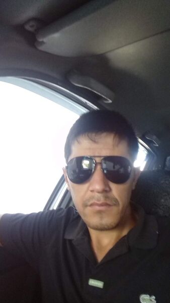  -,   , 41 ,   , 