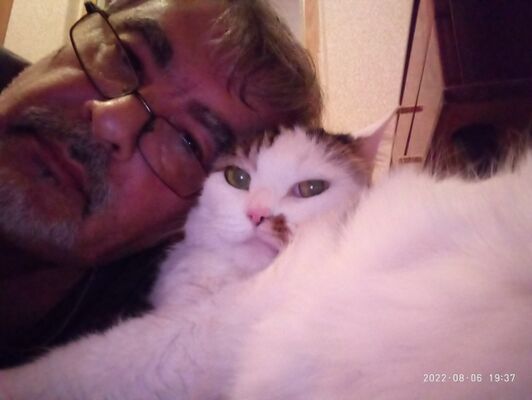  ,   , 52 ,   ,   , c , 