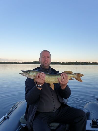  ,   Aleksandr, 41 ,   ,   