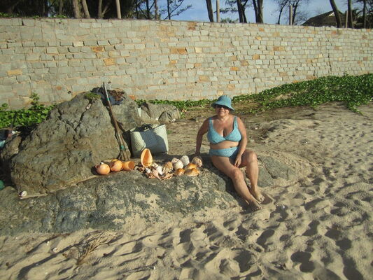  ,   Ninett, 73 ,     , c 