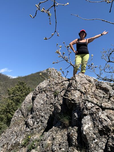  ,   , 62 ,   ,   , c 