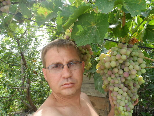  -,   , 46 ,   ,   , c 