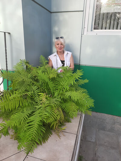  ,   , 54 ,  