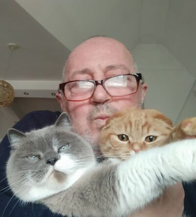  ,   , 61 ,  