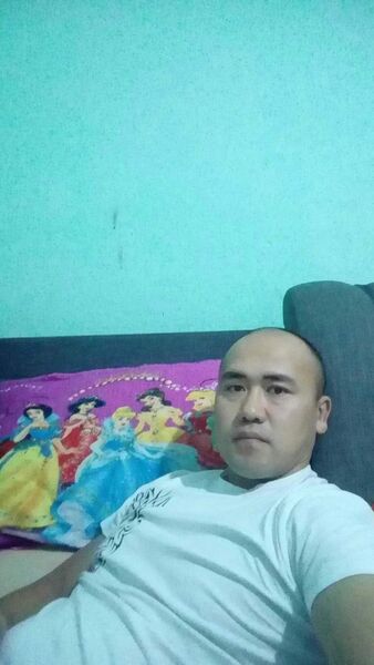  -,   , 40 ,   ,   
