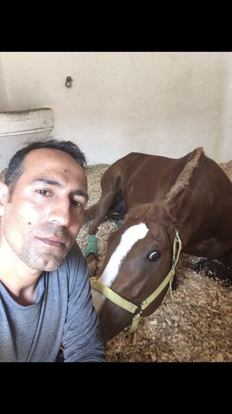  ,   Senatore, 40 ,   ,   