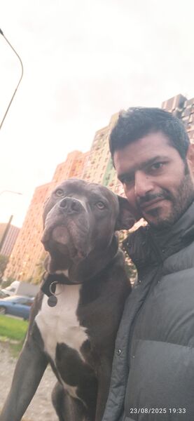  ,   Sayed, 42 ,   ,   , c , 