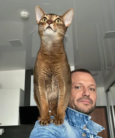  ,   , 40 ,   ,   
