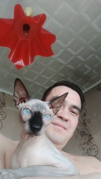   ,   RENAT, 44 ,   ,   , c 