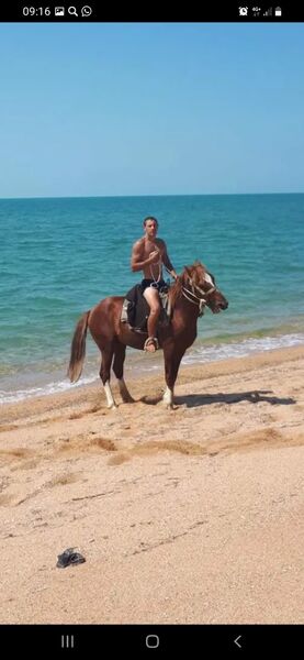  ,   Vasily, 37 ,   ,   , c 