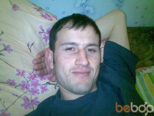  ,   Shymaher 100, 41 ,     , c , 