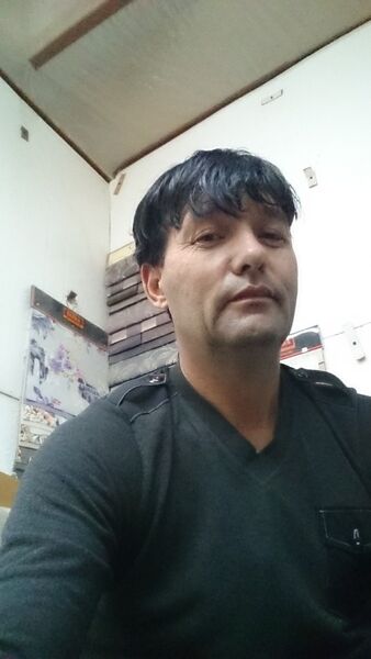  -,   , 51 ,   ,   , c 