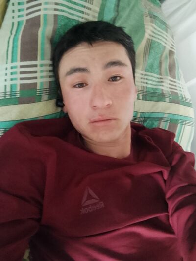  ,     , 33 ,   ,   