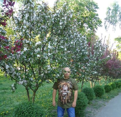  ,   Andreu, 50 ,   ,   , c 