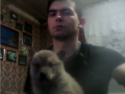  ,   Sergeu, 33 ,   ,   , c 