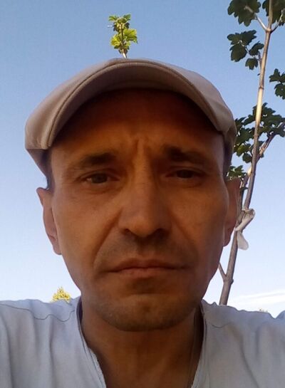  -,   , 49 ,   ,   