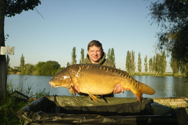  -,   , 41 ,   ,   , c 