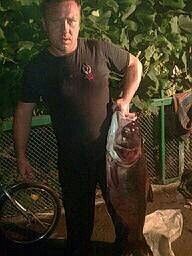  ,   , 41 ,  