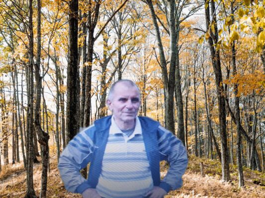  ,   , 60 ,   ,   , 