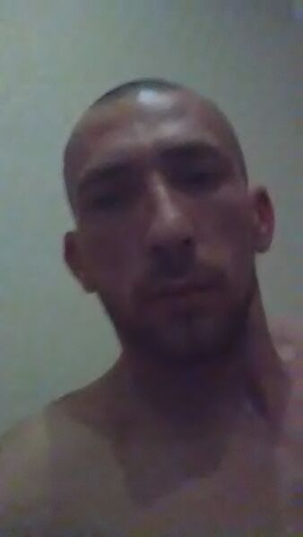  -,   ϸ, 41 ,   ,   , c 
