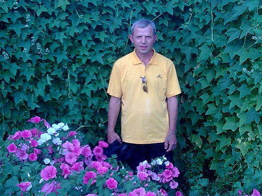  ,   , 54 ,     , c 