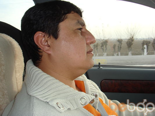  ,   MUMIN, 49 ,     , c 