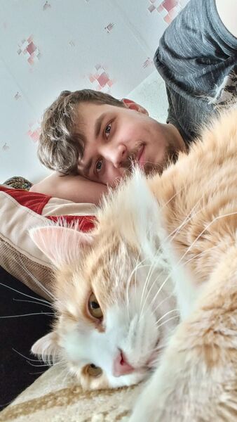  ,   , 28 ,   ,   , c 