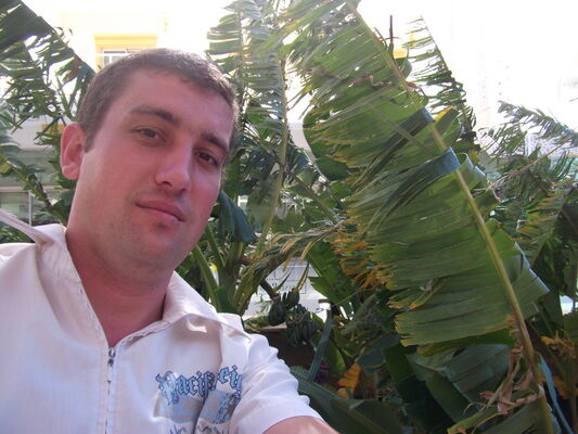  ,   , 40 ,  