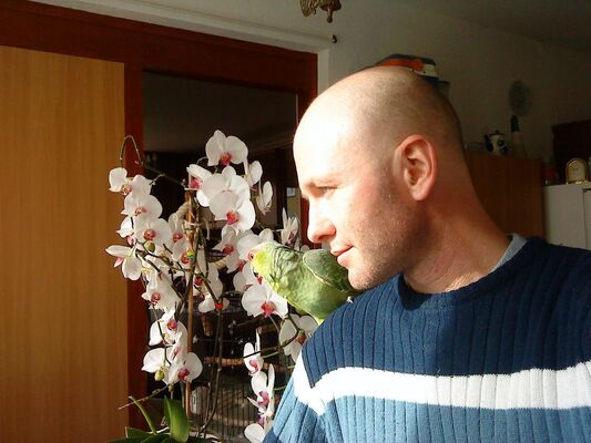  Koblenz,   Boris, 46 ,   ,   , c , 