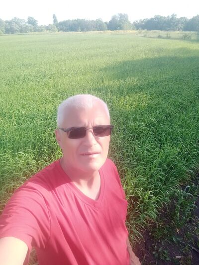  ,   , 55 ,     , 